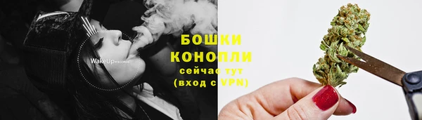 дживик Струнино