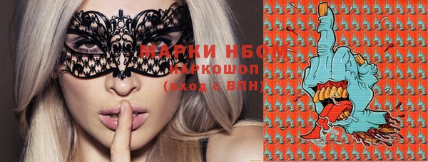 амф Сосновый Бор