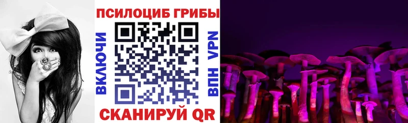 Псилоцибиновые грибы мицелий  Купить закладки  Шарья 